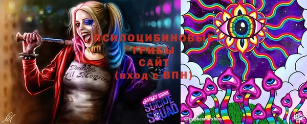 гидропоника Богородицк