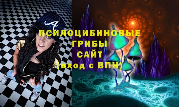 а пвп мука Сатка