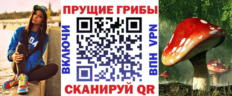 купить   KRAKEN ТОР  Галлюциногенные грибы мицелий  Кольчугино 