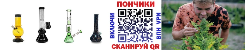 где найти наркотики Кольчугино Бошки Шишки планчик
